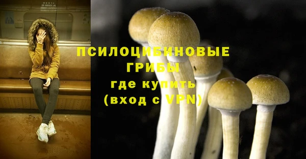 не бодяженный Белокуриха