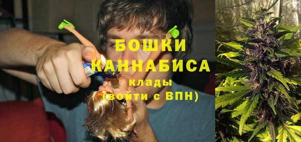 не бодяженный Белокуриха