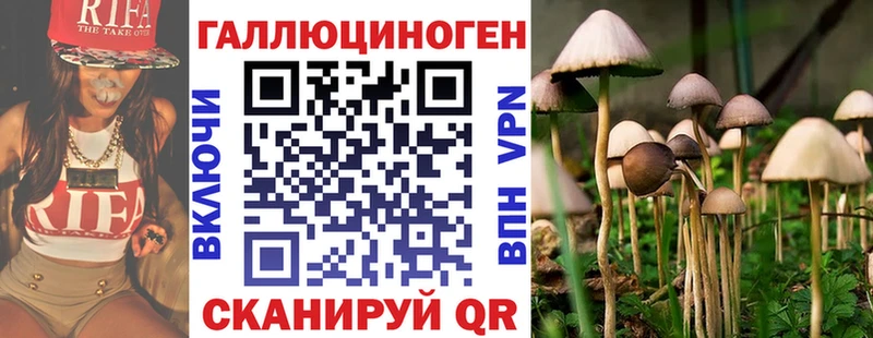кракен как войти  Бузулук  Псилоцибиновые грибы прущие грибы 
